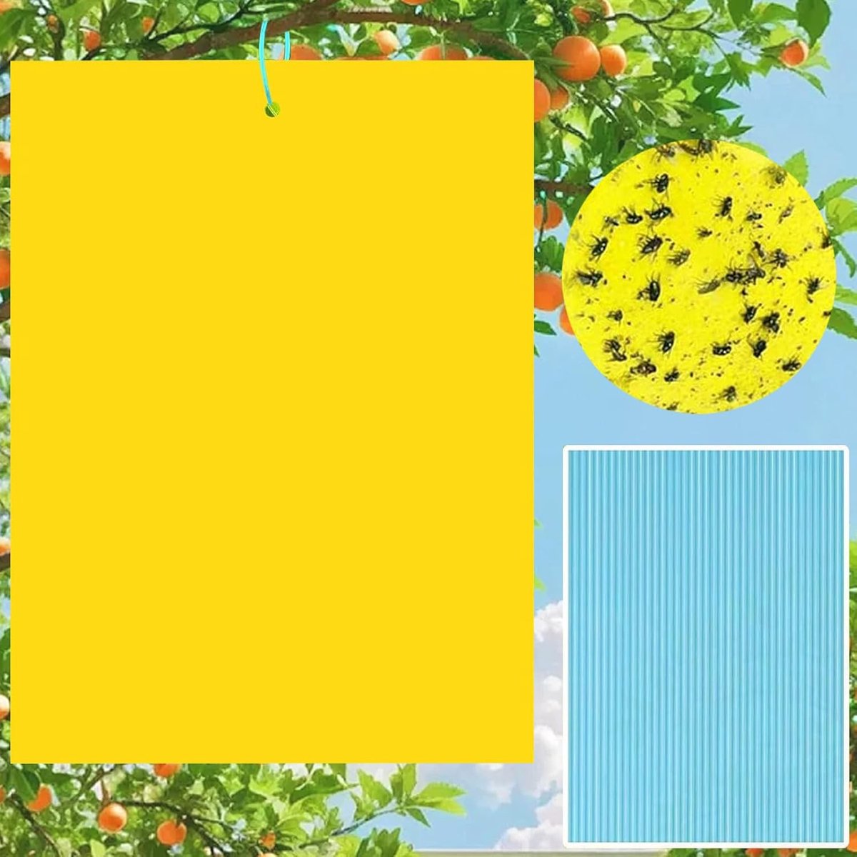 SnelShoppen - Pack van 40 Gele Plak Insectenvallen, Dubbelzijdige Vliegenvangers, Milieuvriendelijke Gele Stickers voor Kersenboom, Effectieve Vliegva