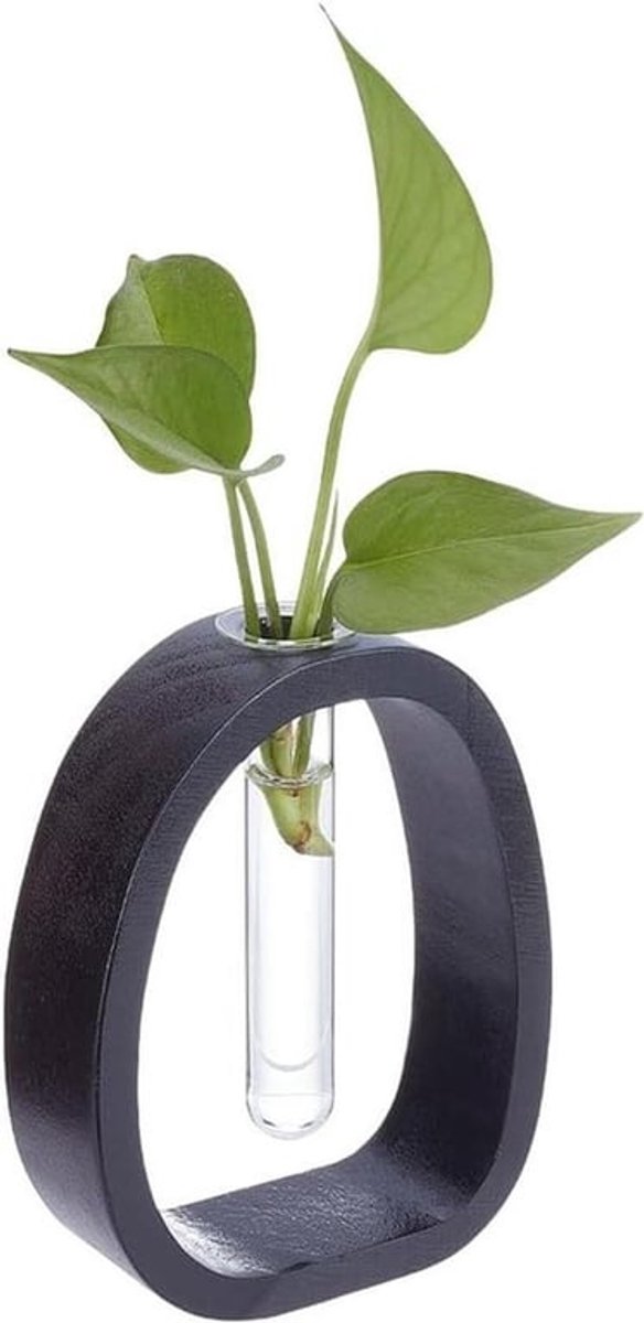 Zwarte Massief Houten Vaas - Bureau Decoratie - Hydrocultuur - Klein Model - Plant Frame - Glas Vaas - Enkele Bloemhouder - Kantoor Woondecoratie - Geschikt voor Tuin Terrarium