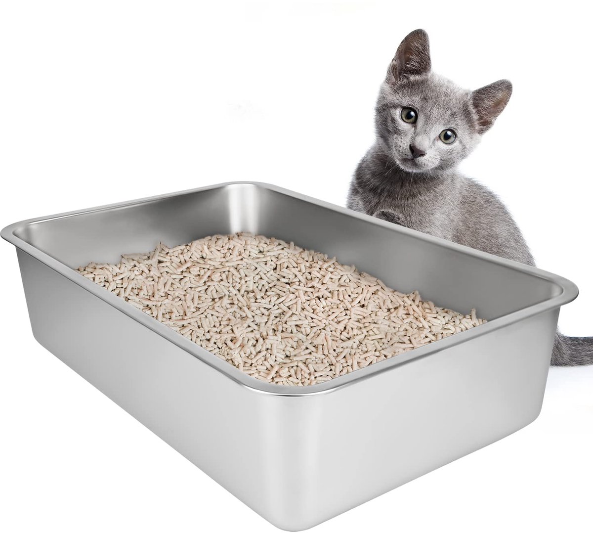 Famanu – Grote kattenbak van roestvrij staal, 50 x 35 x 10 cm, ideaal voor katten
