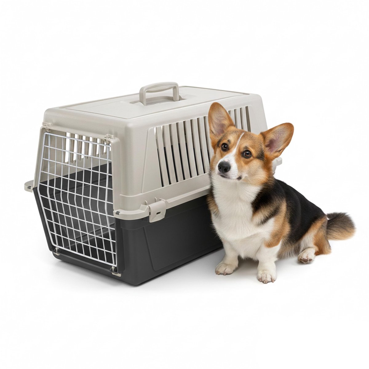 Famanu – Transportbox voor kleine en middelgrote honden en katten tot 15 kg, met ventilatiesleuven, zwart