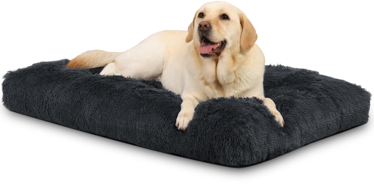 Famanu – Hondenkussen voor grote en middelgrote honden, hondenbed voor binnen, 90 x 60 cm, zacht en pluizig pluche, antislipbodem, machinewasbaar, donkergrijs