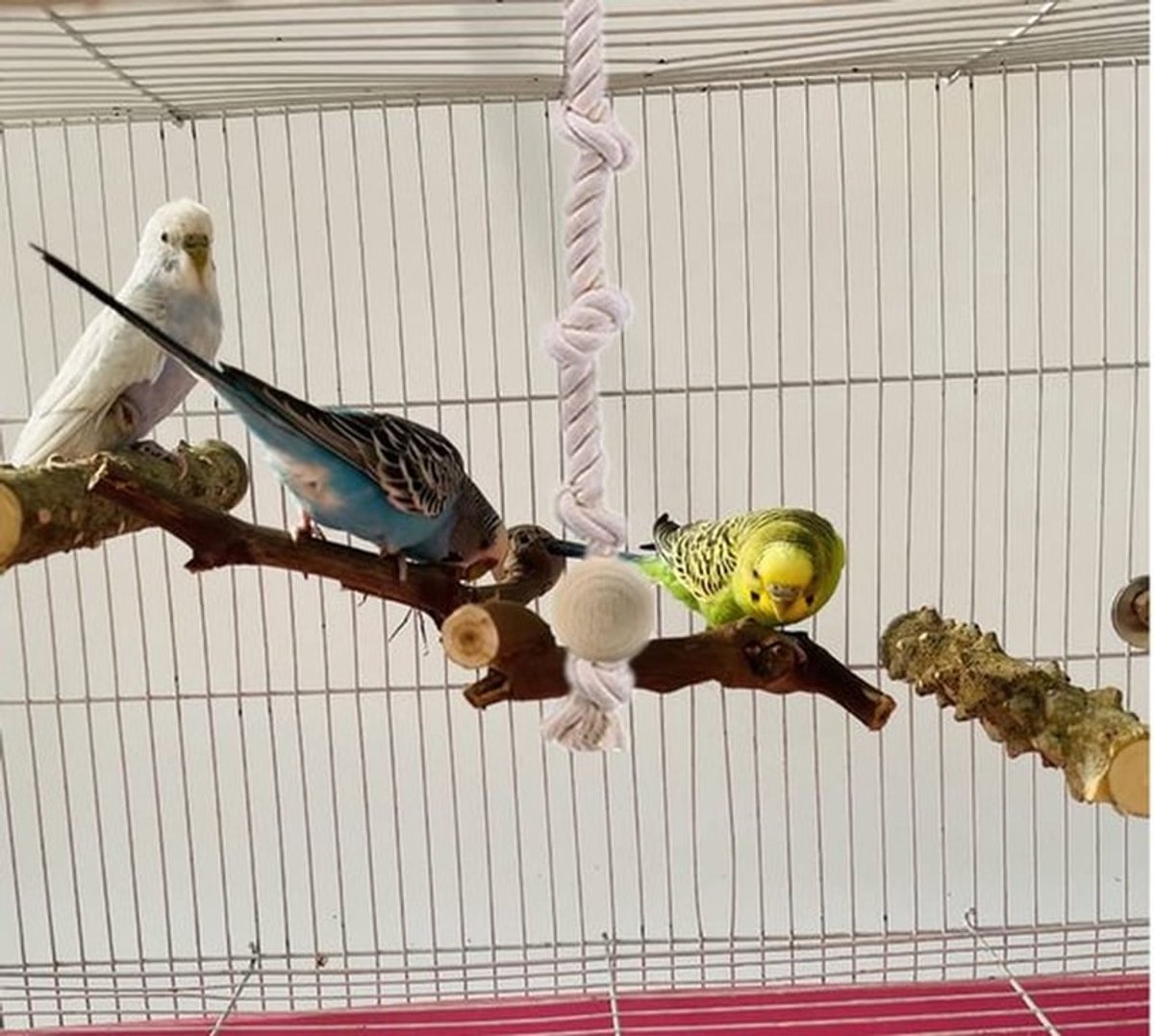 Klimtouw 2 Stuks - Katoenen Touw 40 cm - Klimmen/Kauwspeelgoed - Natuurlijke Materialen - Niet Giftig - Afneembare Haak - Vogelspeelgoed