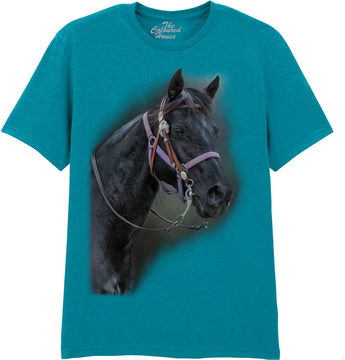 Paarden Pride Of The Pasture - Horse The Coloured House T-shirt 3XL