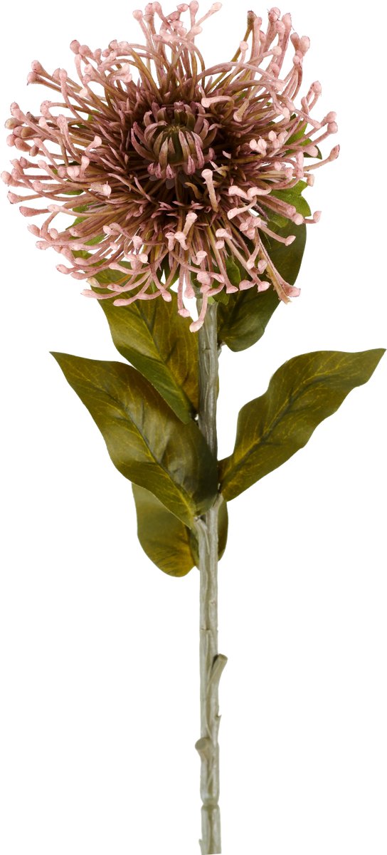 Easyplants | Kunstbloem Protea 65 cm mauve | Zijde | Nepbloemen | mauve | Onderhoudsvrij | Kant-en-klaar