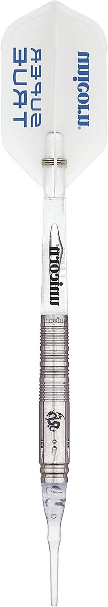 Stalen Darts - Dartpijlen - Precisie Werpen - 90% Wolfraam - 19 gram - Zwart Zilver