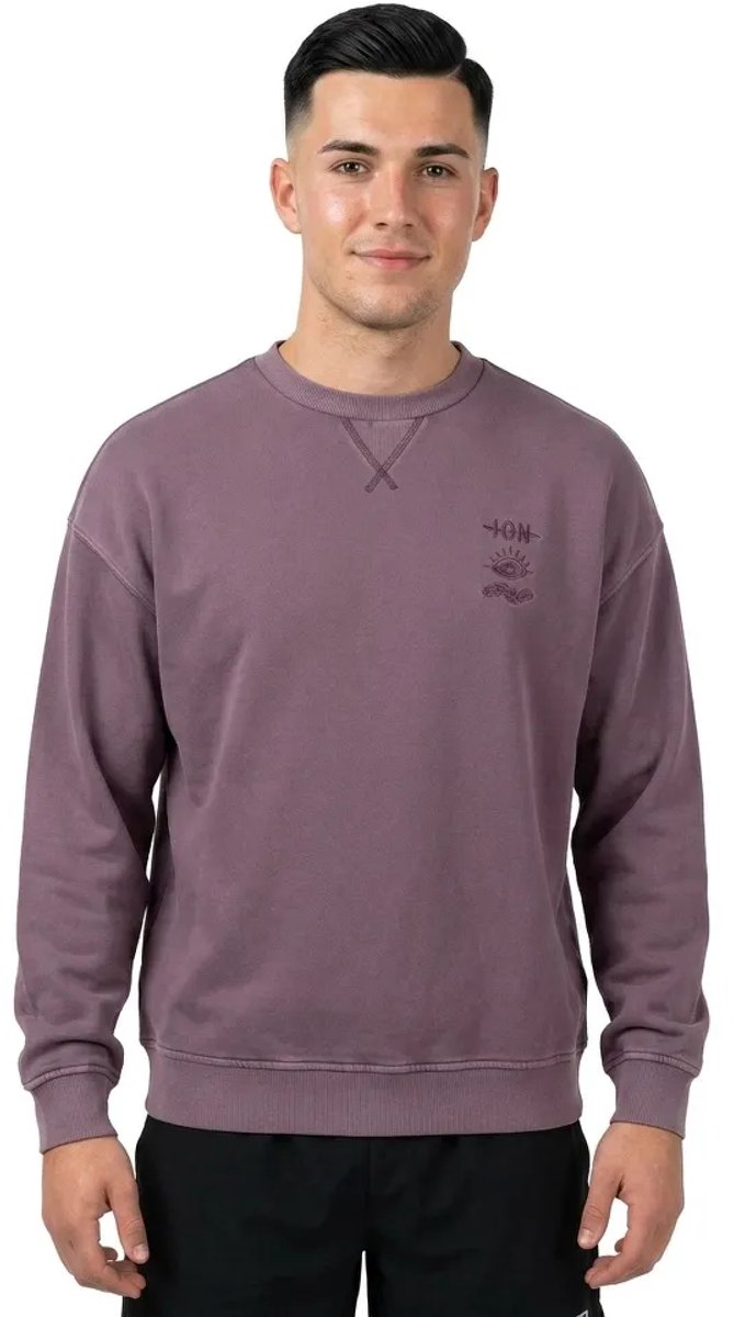 Ion Mood Sweatshirt Paars S Man