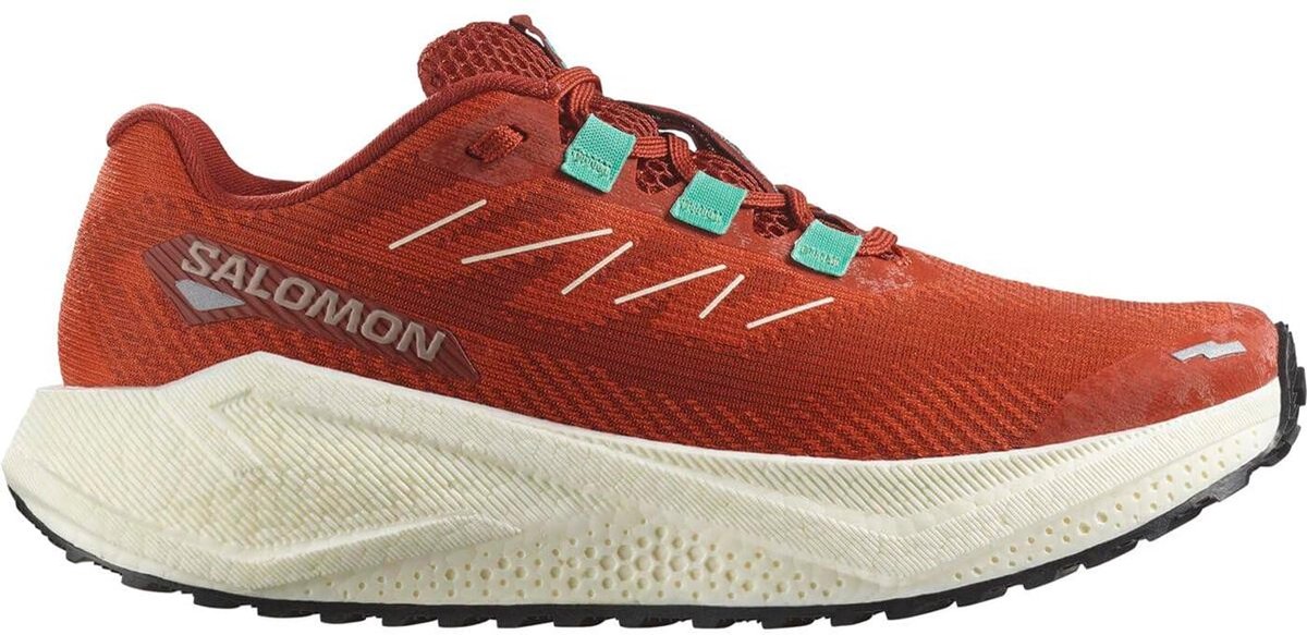 salomon Shoes AERO BLAZE 3 GRVL W Burnt Ochre/Va NoColour 5