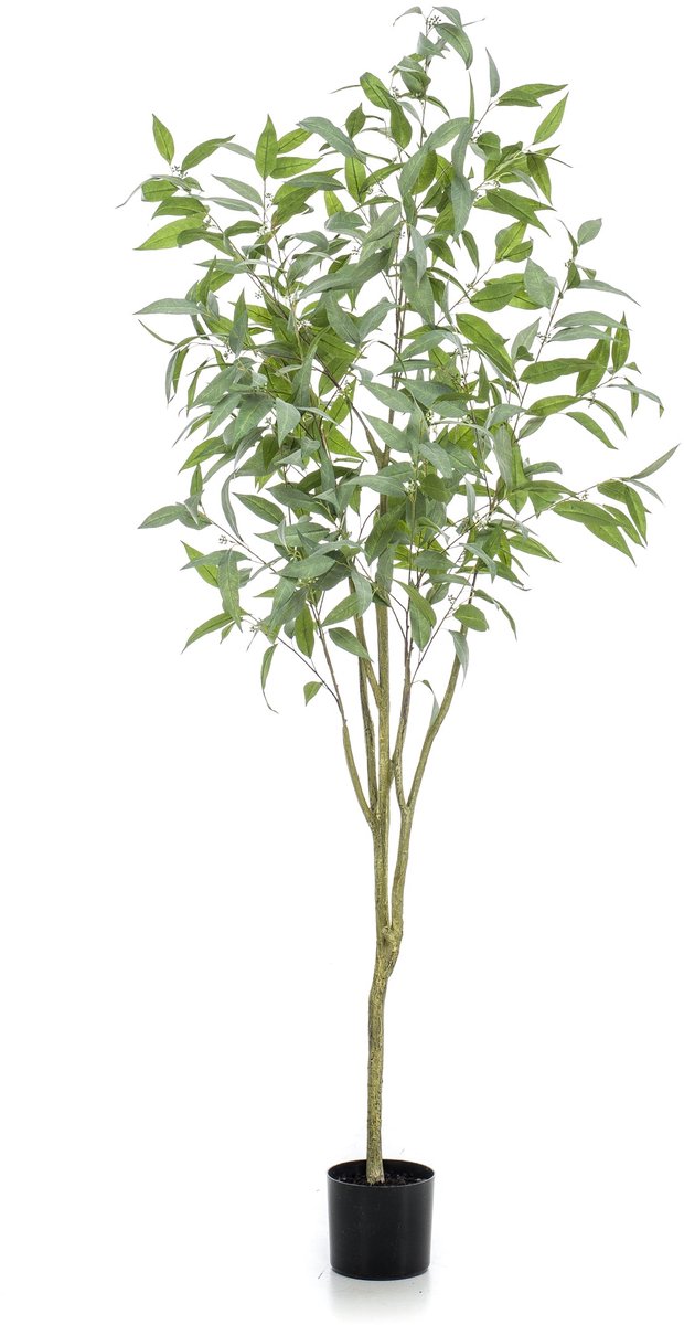 Emerald Kunstboom Eucalyptus Globulus 195cm - Kunstplant voor binnen - Eucalyptus plant Groen