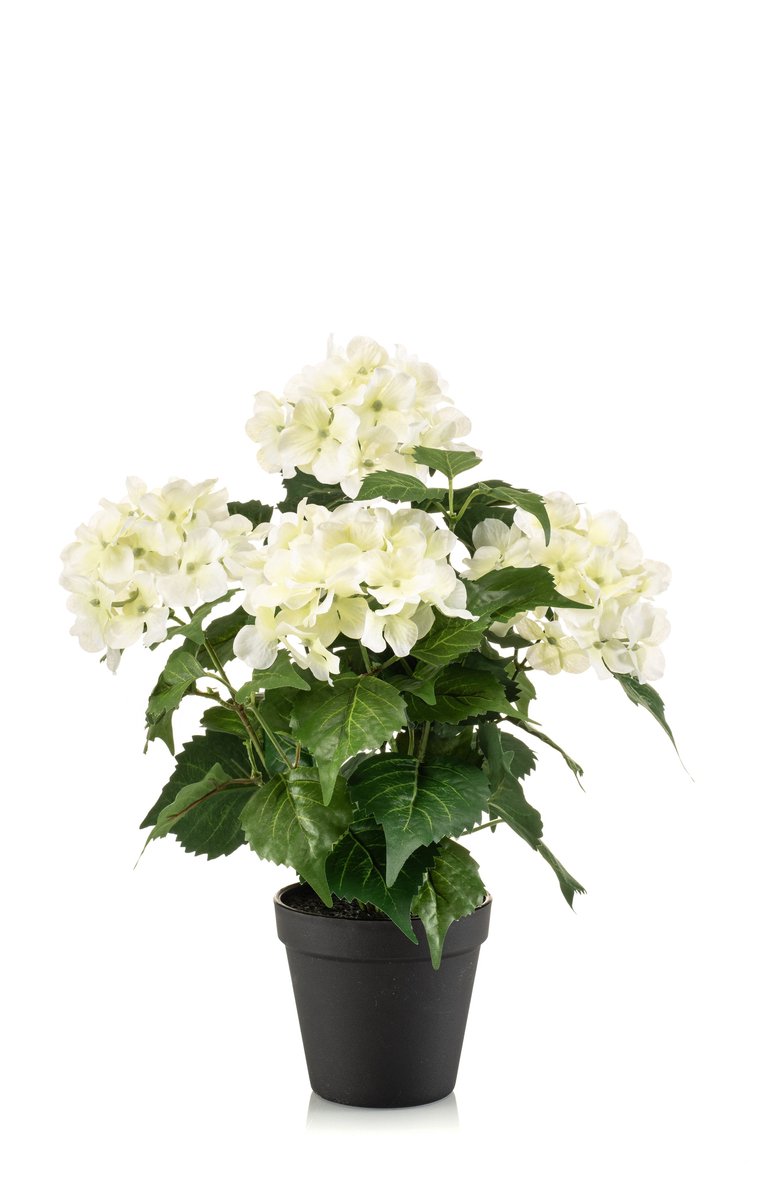 Emerald - Kunstplant Hortensia in pot 40cm wit/groen - Kunstplant voor binnen