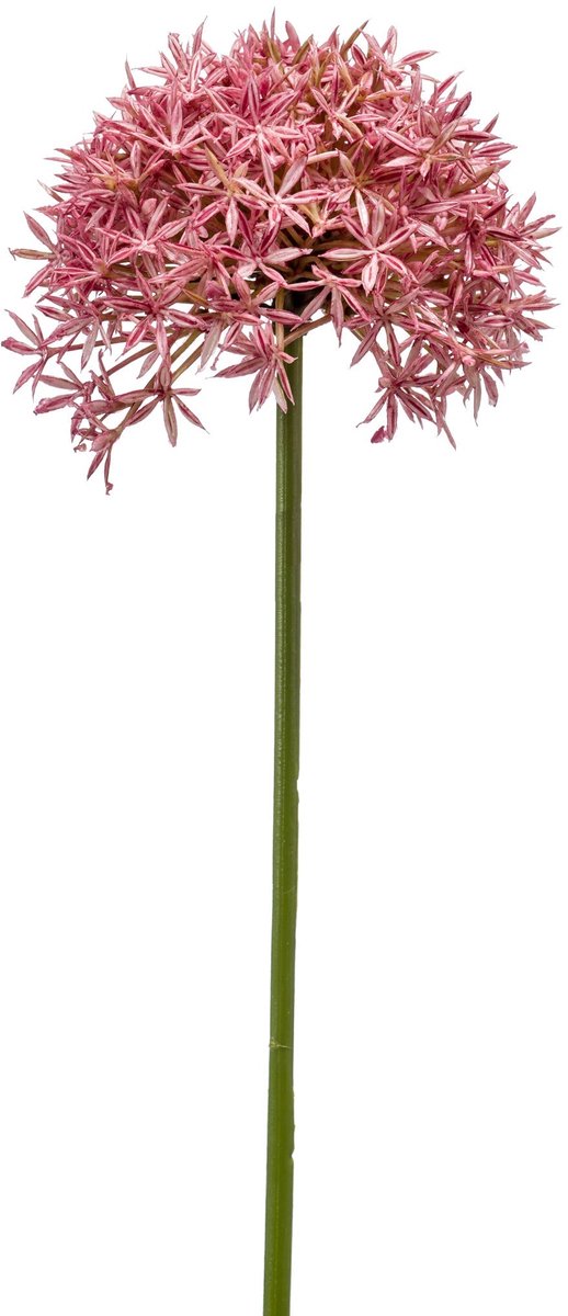 Emerald Kunstbloem Allium 62cm roze - Kunstplant voor binnen