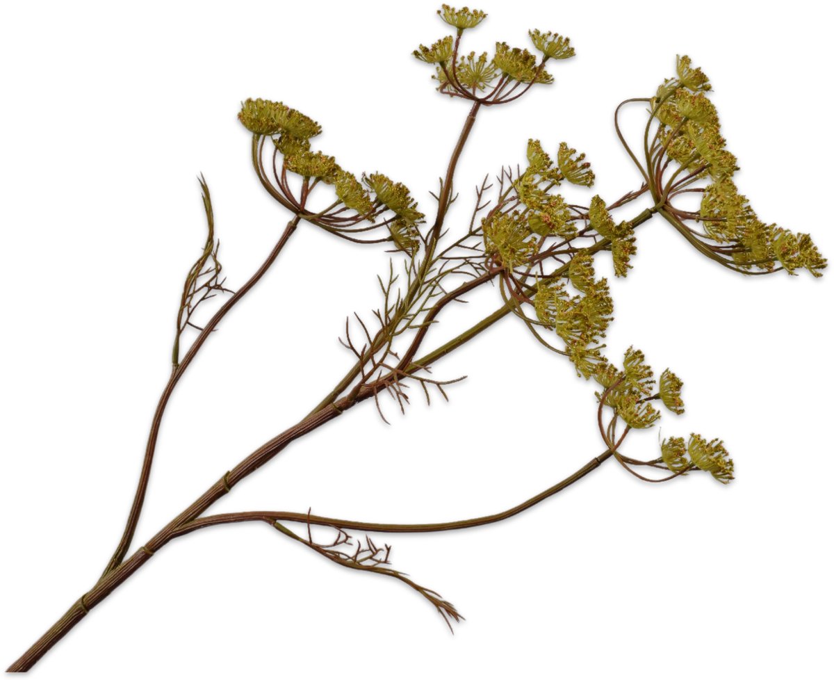 Silk-ka Kunstbloem-Zijden Bloem Dille Tak Groen 79 cm