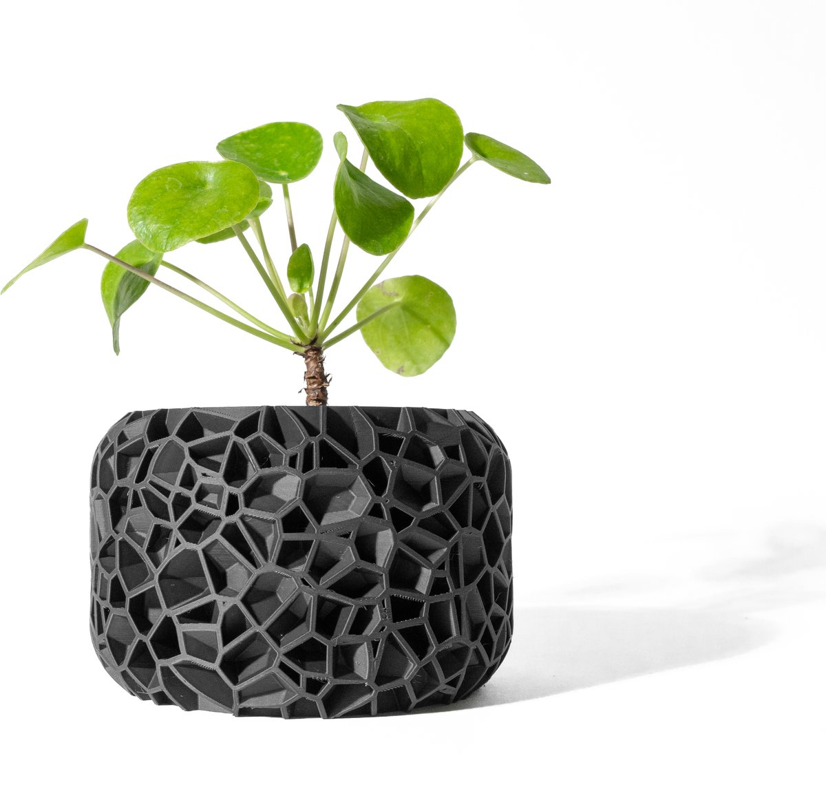 Skushy Vori Bloempot - Moderne Designpot voor Kamerplanten - Sculpturale Plantenpot voor Woonkamer en Kantoor - Premium Woondecoratie