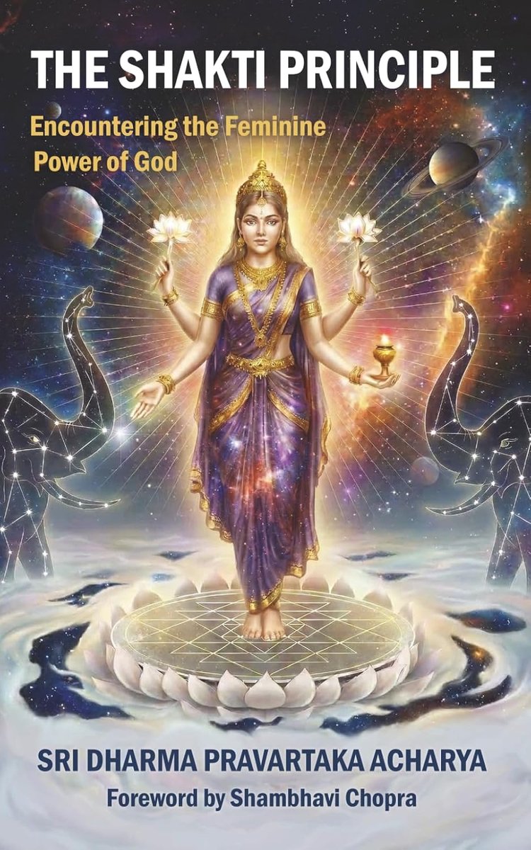 SnelShoppen - The Shakti Principle: Ontdek de Vrouwelijke Kracht van God, Spiritueel Boek over Feminine Energie, Persoonlijke Groei en Zelfontdekking
