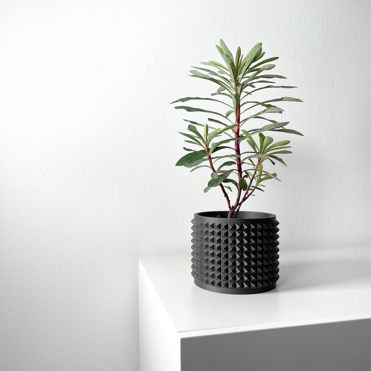 Skushy Anver Bloempot - Moderne Designpot voor Kamerplanten - Sculpturale Plantenpot voor Woonkamer en Kantoor - Premium Woondecoratie