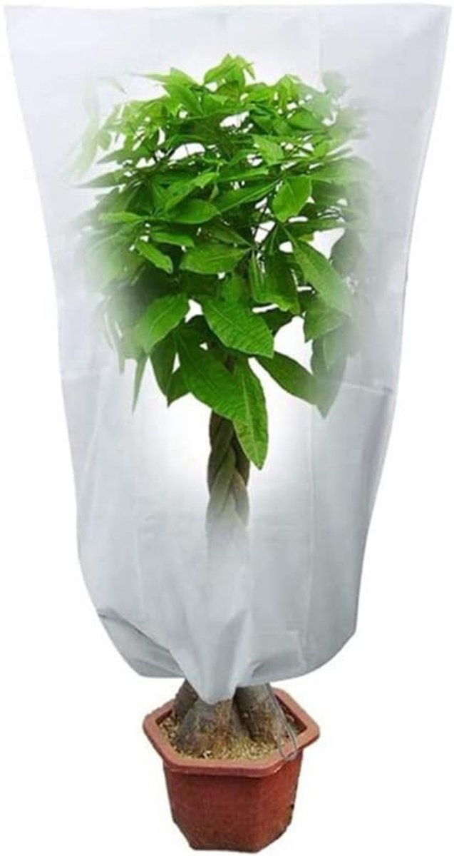 Winterbescherming voor Planten met Tuinfleece, Vorstbescherming en Isolatie (120×180CM)