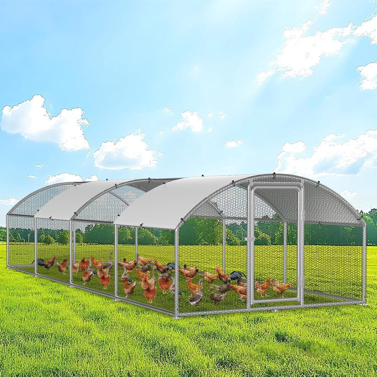 Dierenverblijf Buiten - Ren Voliere - Dieren Houden - Waterdicht Dak - 3 x 8 x 2 m - Zilver