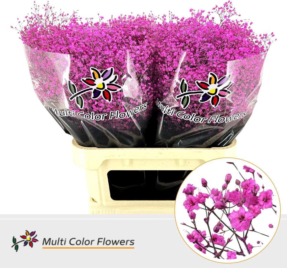25x Gipskruid m.stars hot pink 80cm