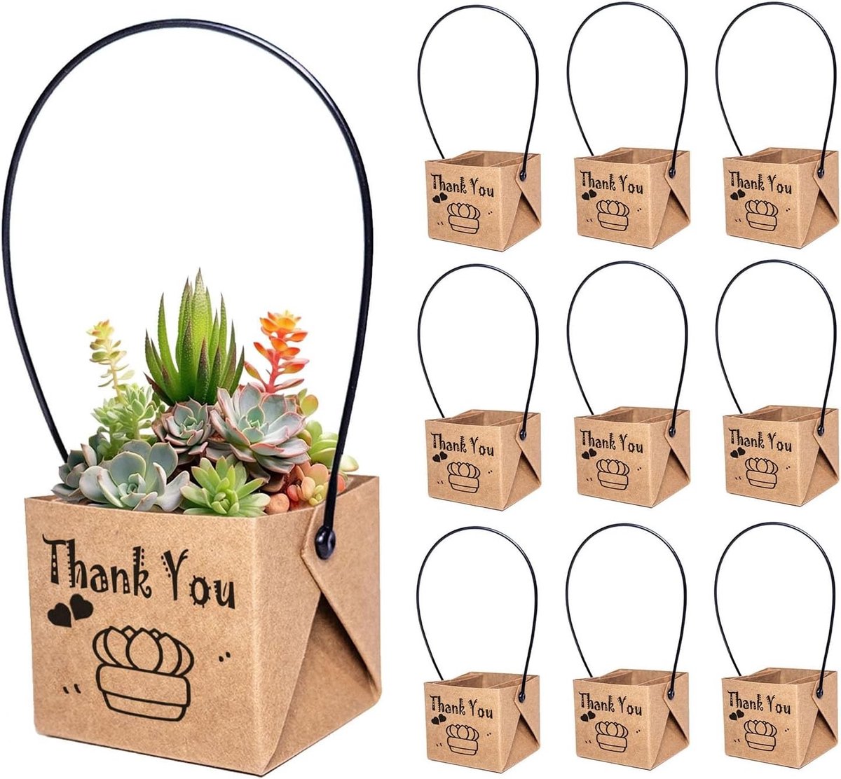 50 Stuks Kleine Vierkante Kraft Papieren Cadeautasjes met Touwhandvat voor Succulenten, Perfect voor Bruiloften, Verjaardagen en Babyshowers