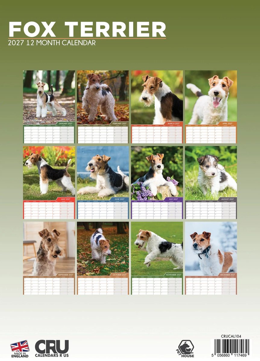 Fox Terrier A3 Kalender 2027