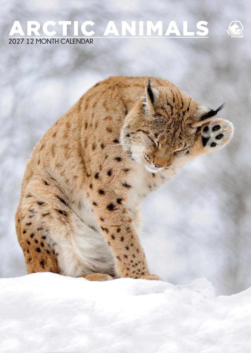 Elzusha - A3 Kalender Arctic Animals 2027 met Indrukwekkende Dieren