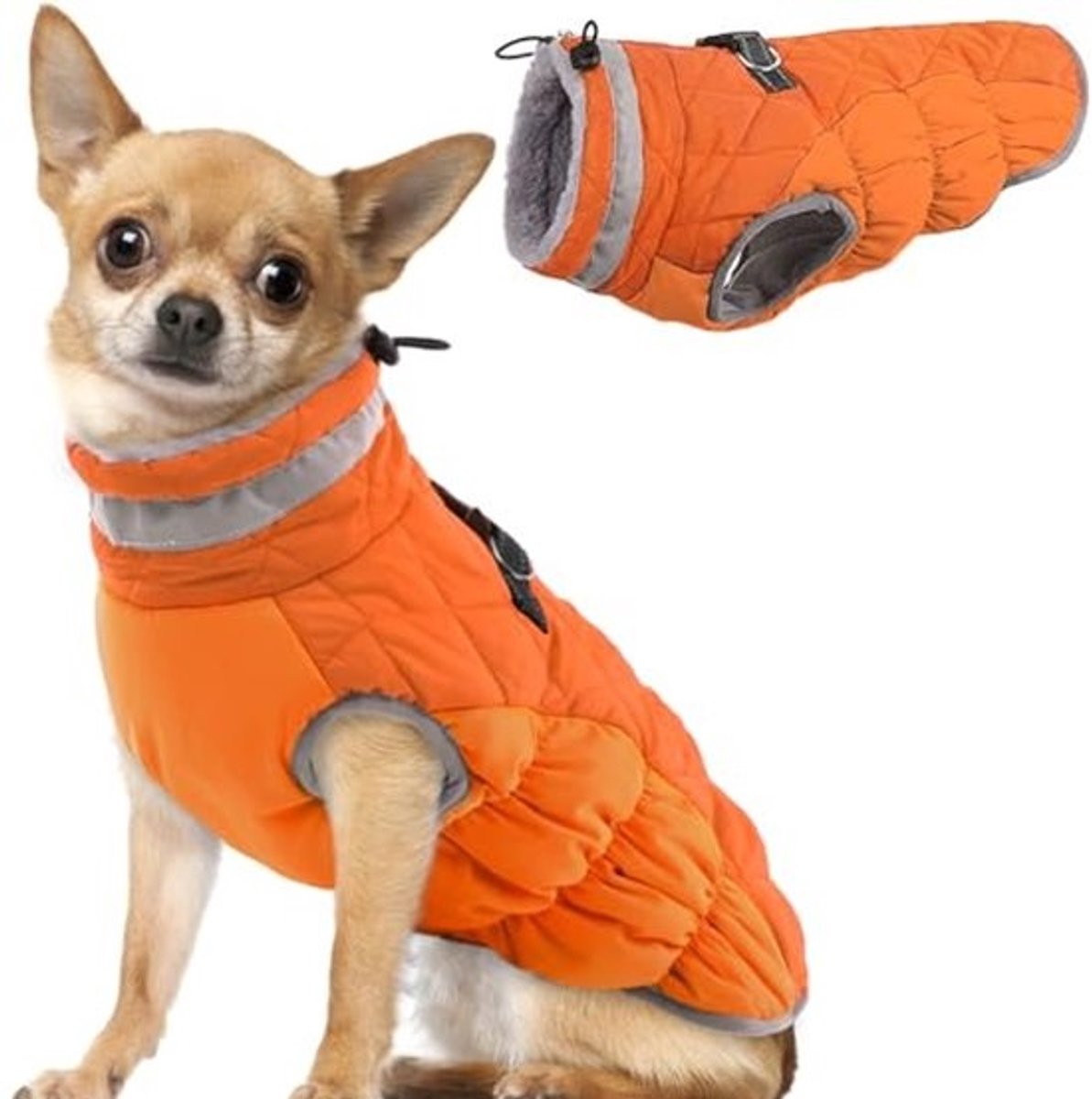 Waterdichte Hondenjas voor Kleine Honden - Reflecterende en Warme Hondenjas met Harnas