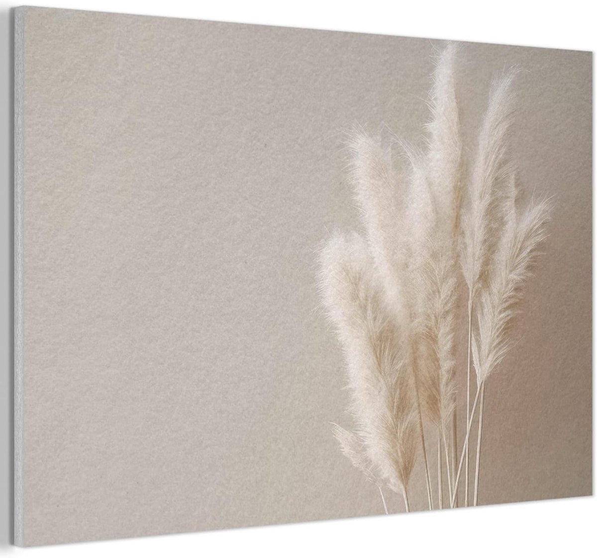 Vilten Wanddecoratie 90x60 cm Kamer Decoratie Woonkamer Slaapkamer Room Decor Wanddeco Felt Wall Art Pampasgras - Pluimen - Pastel - Wit