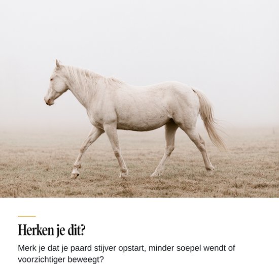 Wit paard in mistig veld, loopt naar rechts, met de tekst 'Herken je dit?'