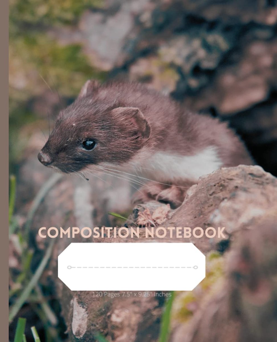 Stoat Composition Notebook : Animal Composition Notebook For Children,Students,Professionals and Teachers: 120 Pages | 7.5 x 9.25 Inches | Wide Ruled