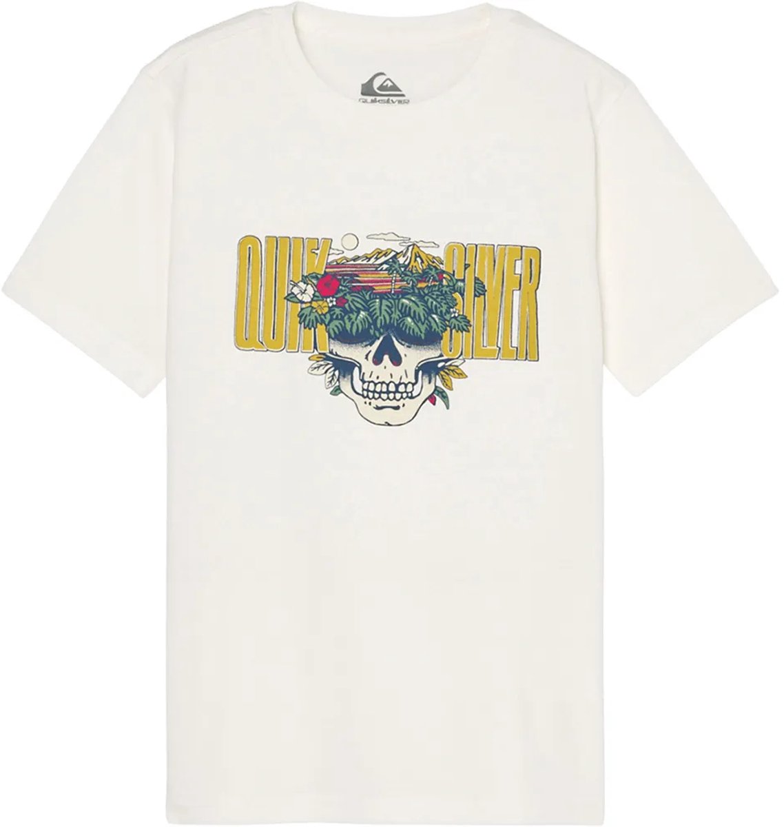Quiksilver Paradise Point T-shirt Met Korte Mouwen 16 Years Jongen Wit