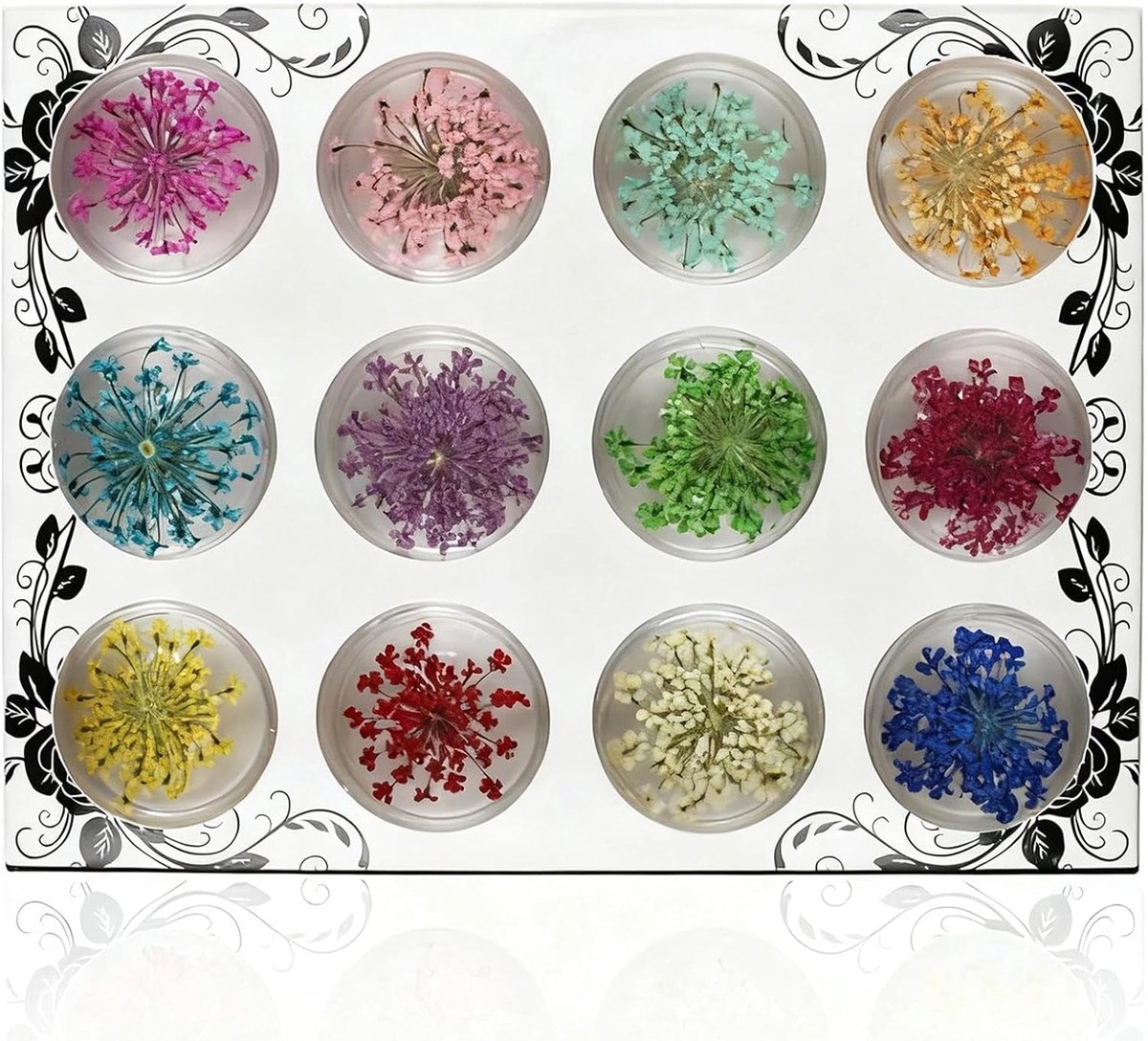 Thijox - 12 Kleuren Gedroogde Bloemen Set - Echte Natuurlijke Bloemen voor Nageldecoraties, Sieraden, Telefoonhoesjes en Verzamelalbums - Transparante