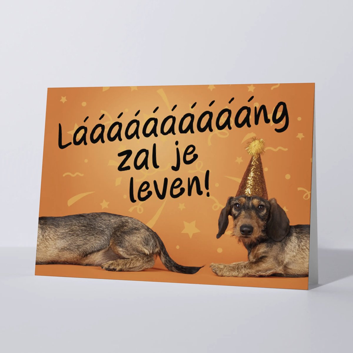 CAT'CHY Cards - wenskaart - verjaardag - hond - teckel