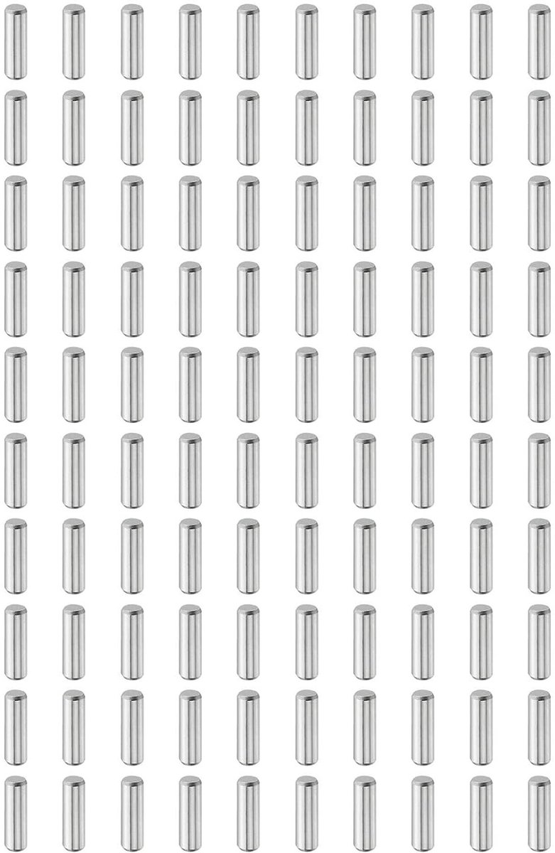 100 stuks 3mm x 10mm Plug Pens, RVS Cylindrical Shelf Support Pins, Positioneringspennen voor Boekenkasten en Meubels, Ideaal voor Planken en Opbergruimte