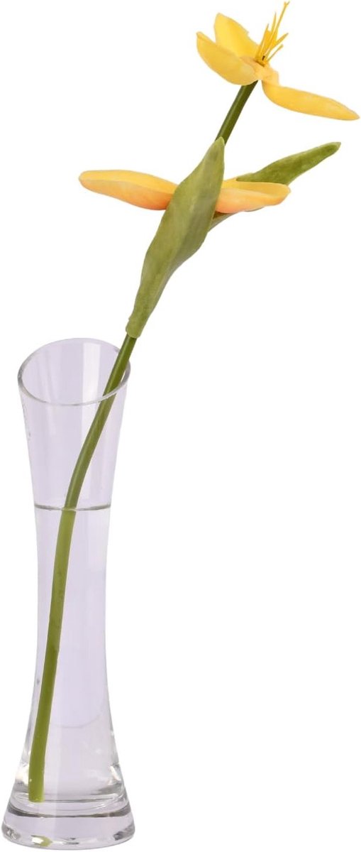 Elegante Smalle Glazen Vaasje voor Bloemen, Hoog en Smal, Perfect voor Woondecoratie, Kant