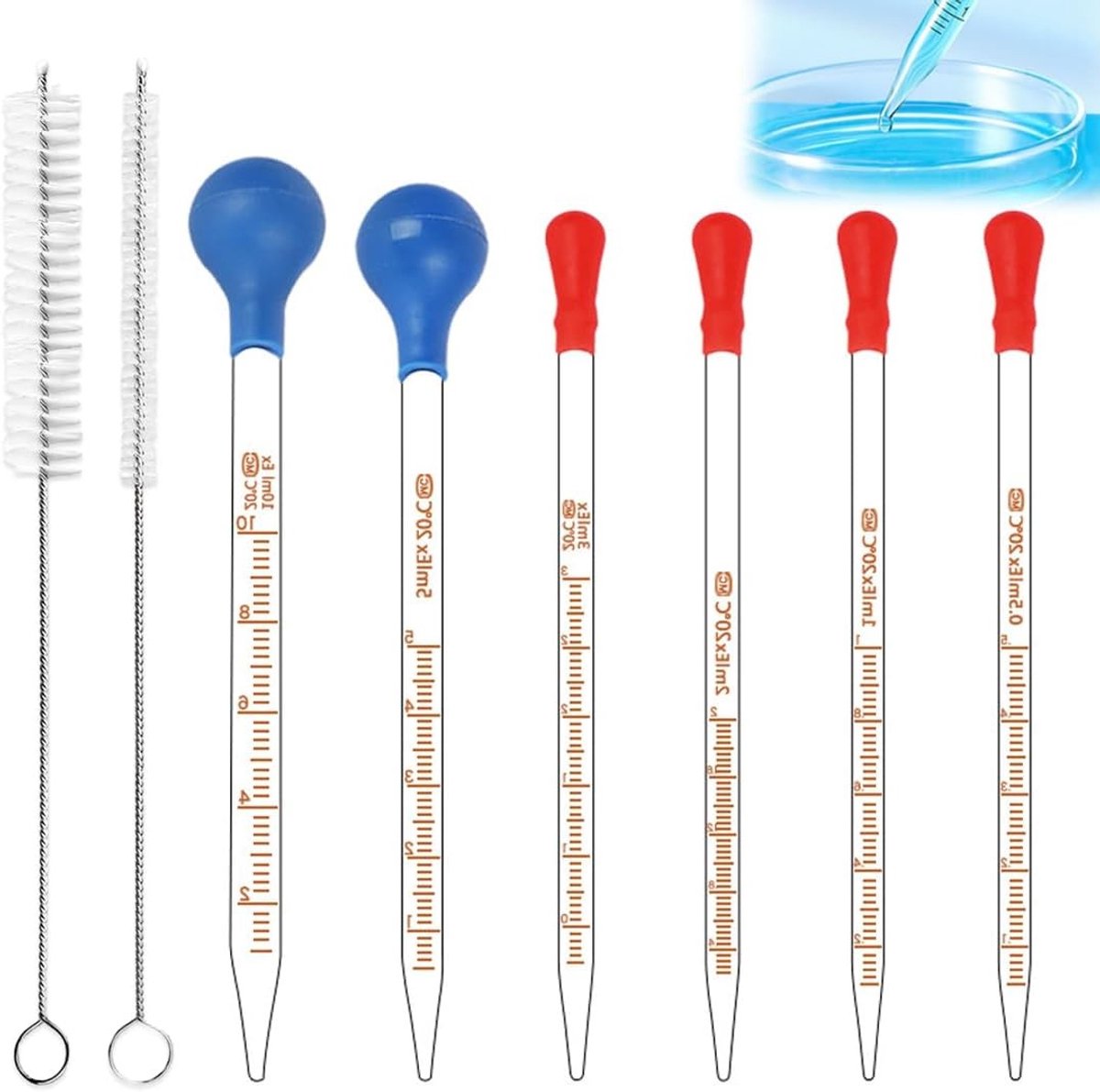 Set van 6 Glazen Pipetten met 2 Borstels - 10 ml, 5 ml, 2 ml, 1 ml - Perfect voor Laboratorium, Voedselonderzoek en Geneeskunde