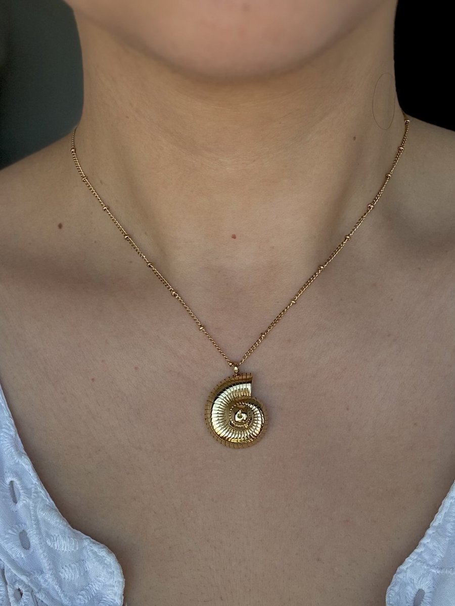 Anelplus Dames Ketting met Spiraal Hanger – Goudkleurige Halsketting – Minimalistisch Vintage Design – Elegant Sieraad voor Vrouwen