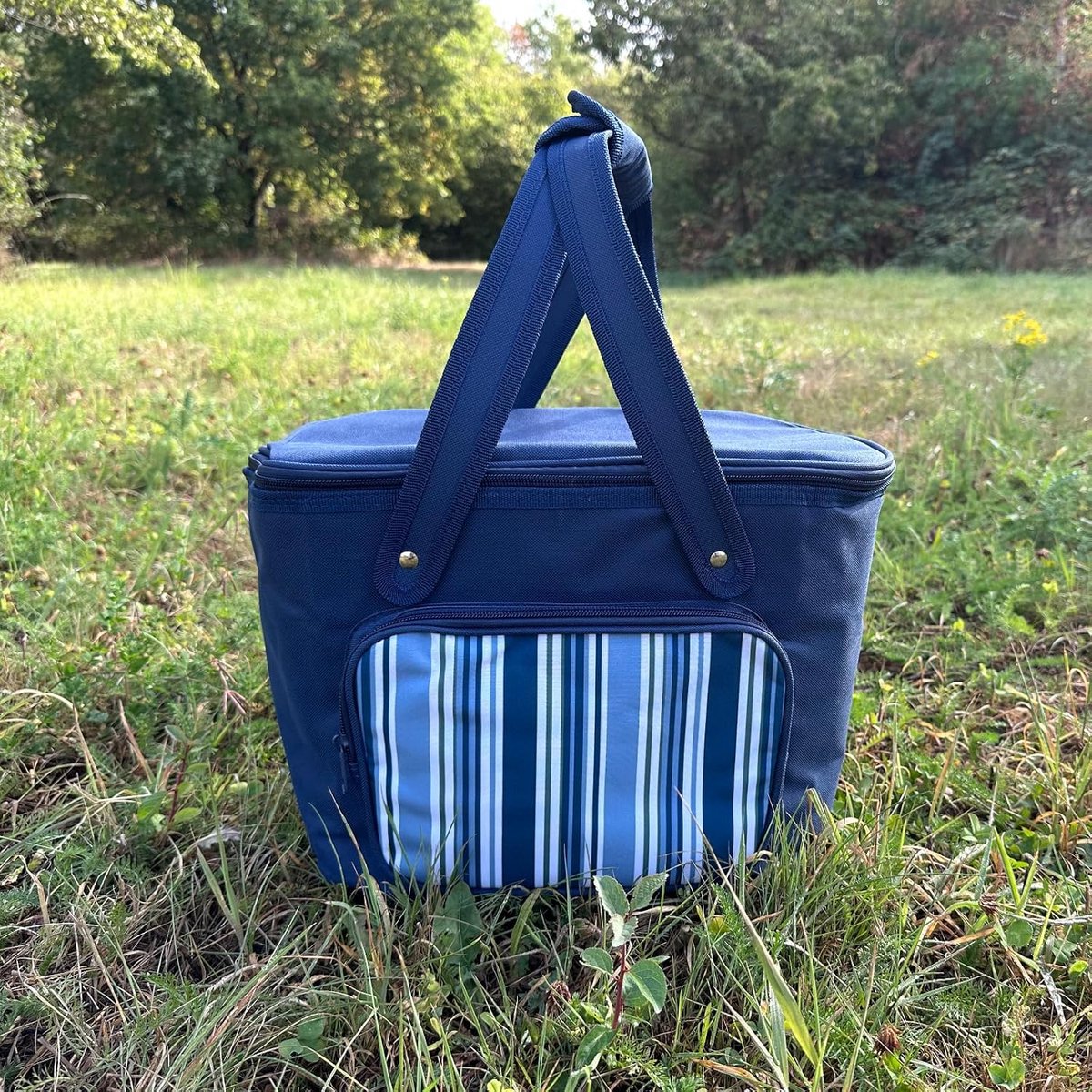 Koeltas, 20 liter, draagtas, isolatietas voor onderweg, koelbox, strandtas, lunchtas met handgrepen, blauw