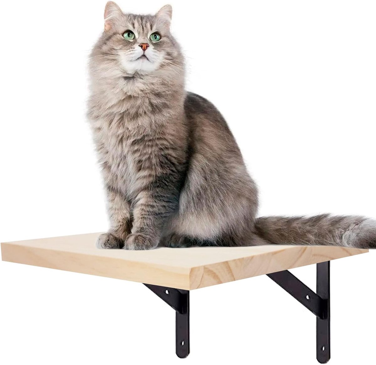 Klimwand voor katten, kattentrap, kattentraptrap, kattenladder, treden huisdier, kat, wandmontage, trap, wandtrede, kattentrap voor huisdieren, meubels om te klimmen, spelen, 1-delig