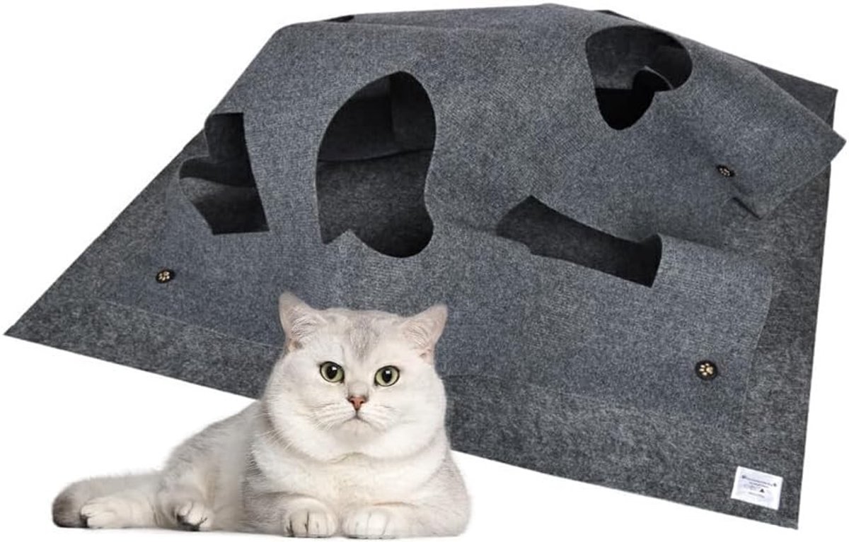 Omgoods - Opvouwbare Activiteiten Speelmat voor Katten - Interactief Trainingsspeelgoed