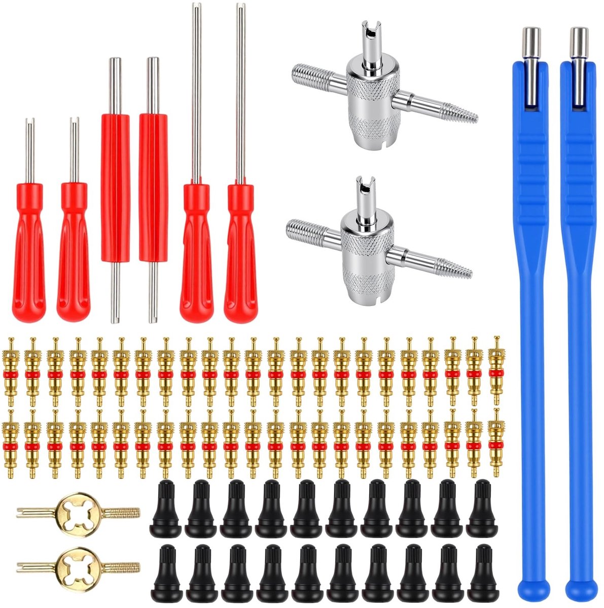 Omgoods - 94-delige TR412 Ventiel Gereedschap Set - Inclusief Ventiel Inserts en Sleutels