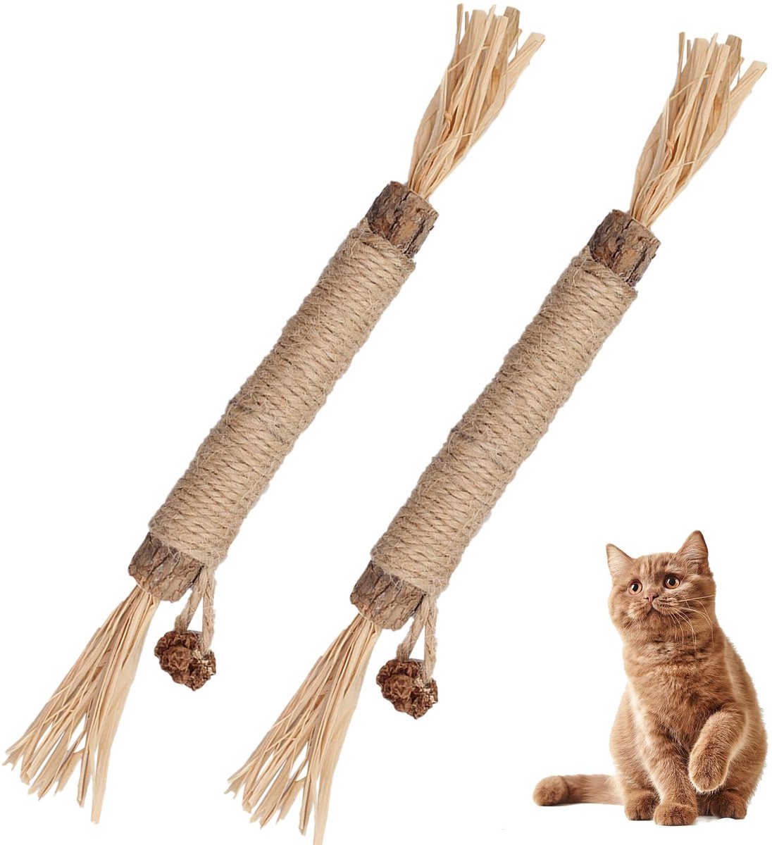 Omgoods - 2 Stuks Kat Kauw Sticks - Matatabi en Munt Sticks voor Tandverzorging