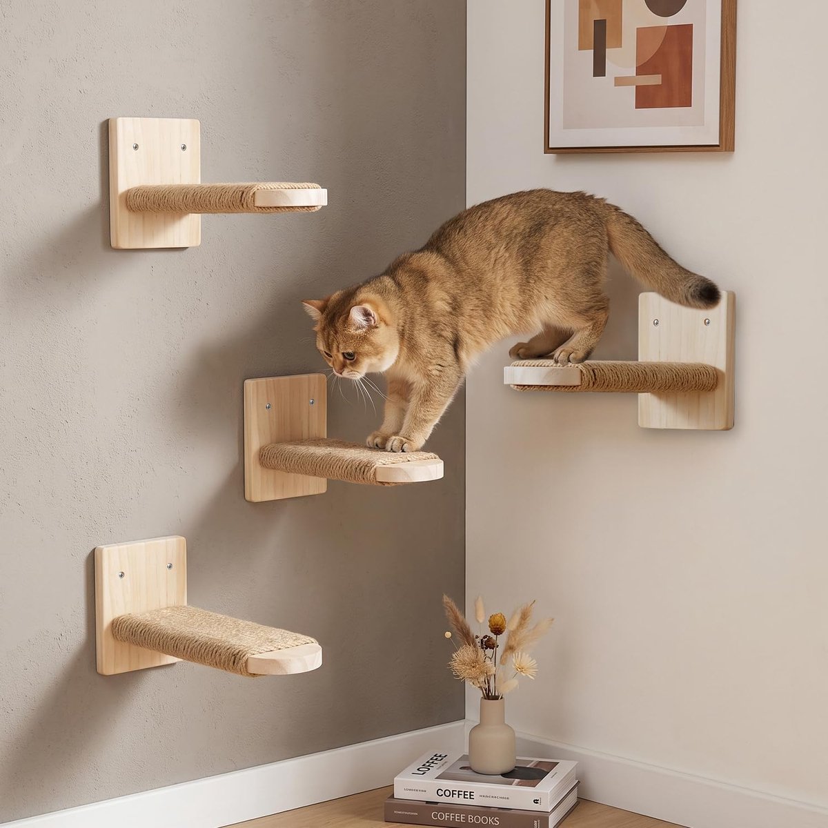 4 stuks kattentrap muur met jute touw, 15 kg dragen, kattentreden muur met inlegwerk, kattenladder balkon voor kat klimmen spelen, ruimtebesparend