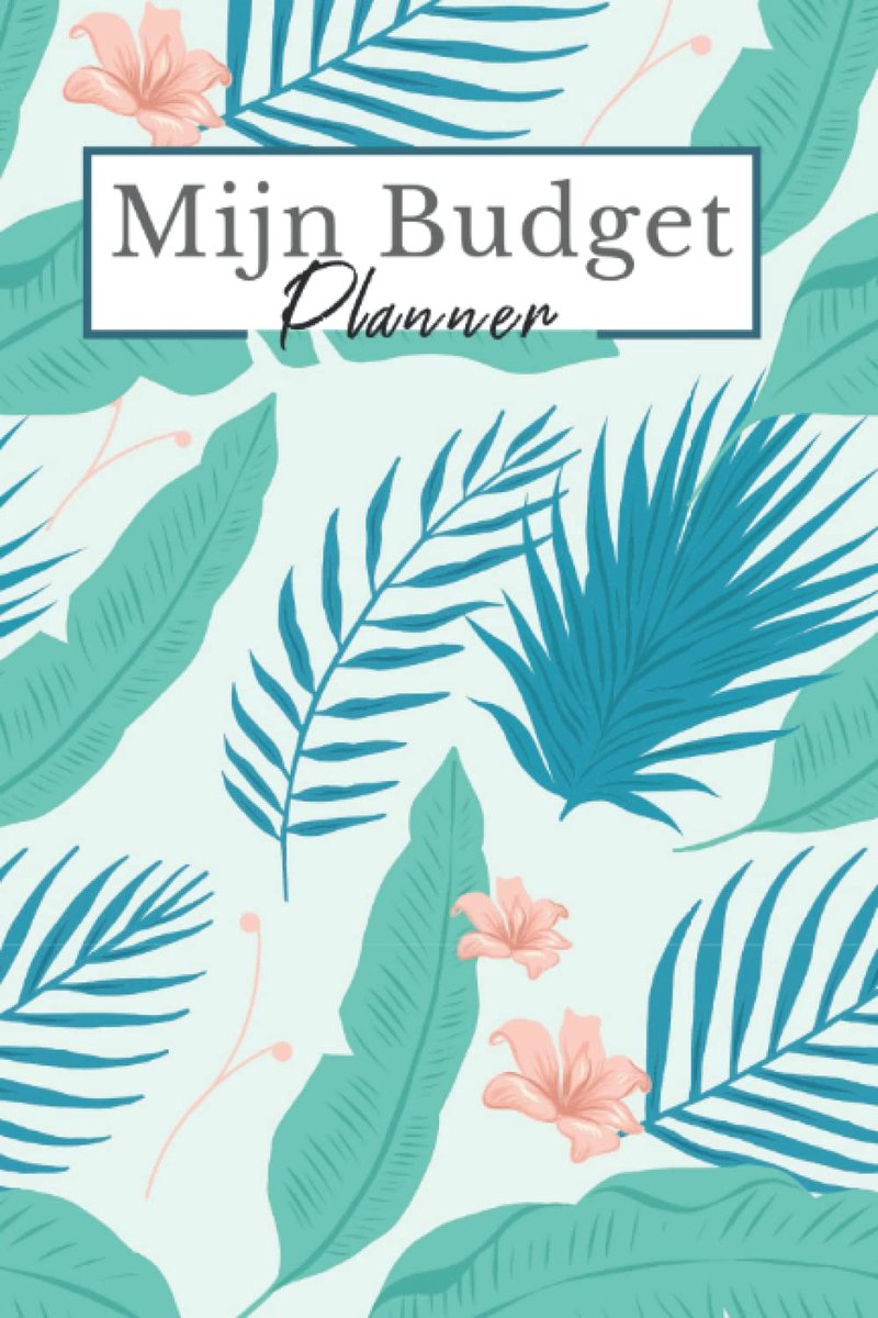 Budget planner - 120 pagina's - Nederlandse uitgavenboek - houd al jouw financiën bij - ShopVlot