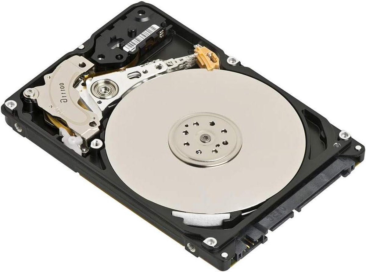 Interne Harde Schijf - SAS Schijf - Server Opslag - 10000 RPM Snelheid - 600 GB - Bruin