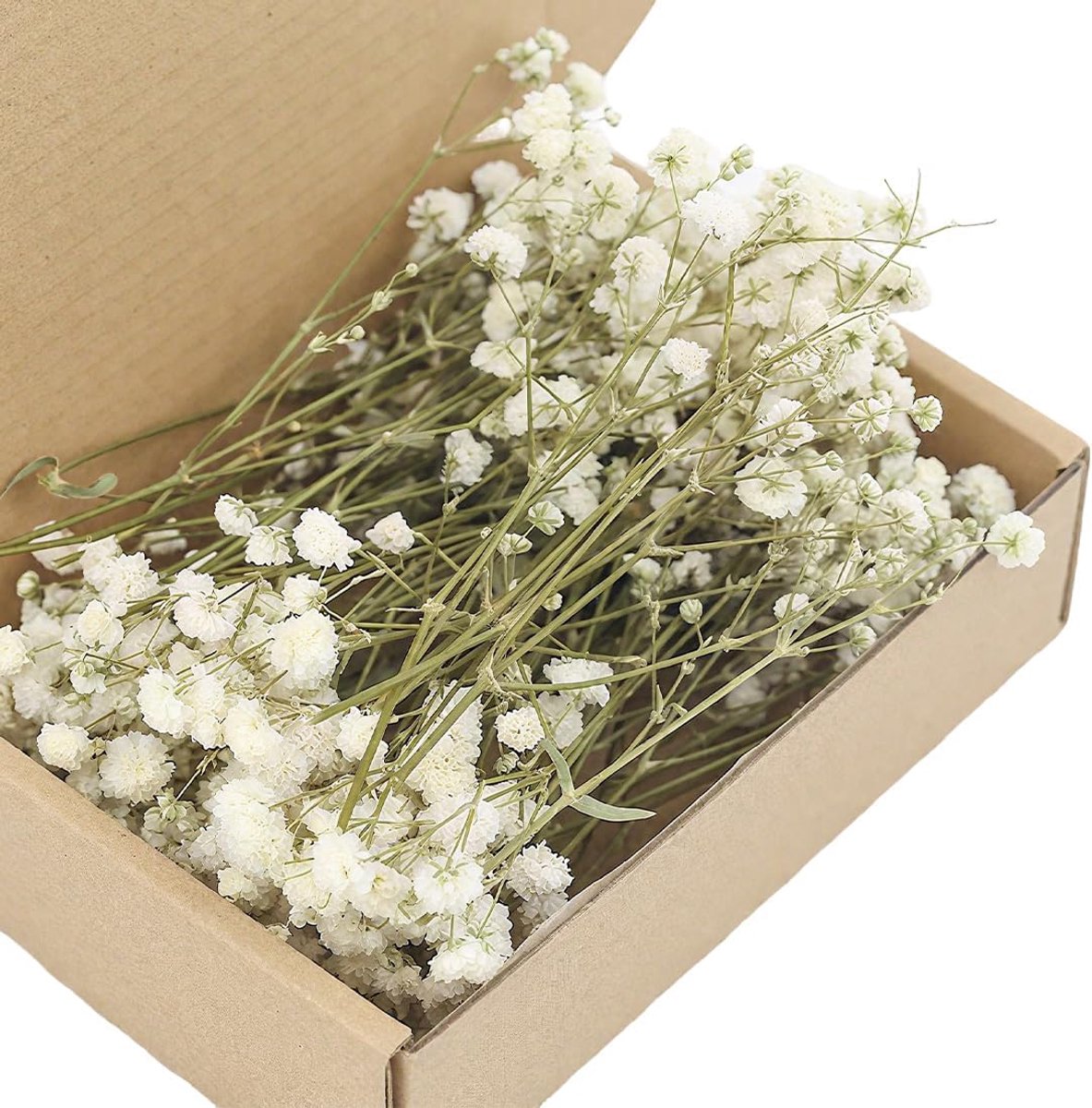 SnelShoppen - 100 Stuks Gedroogde Witte Gypsophila Bloemen voor Decoraties, Mini Dried Flowers, Natuurlijke Dried Real voor Huwelijksversieringen en R