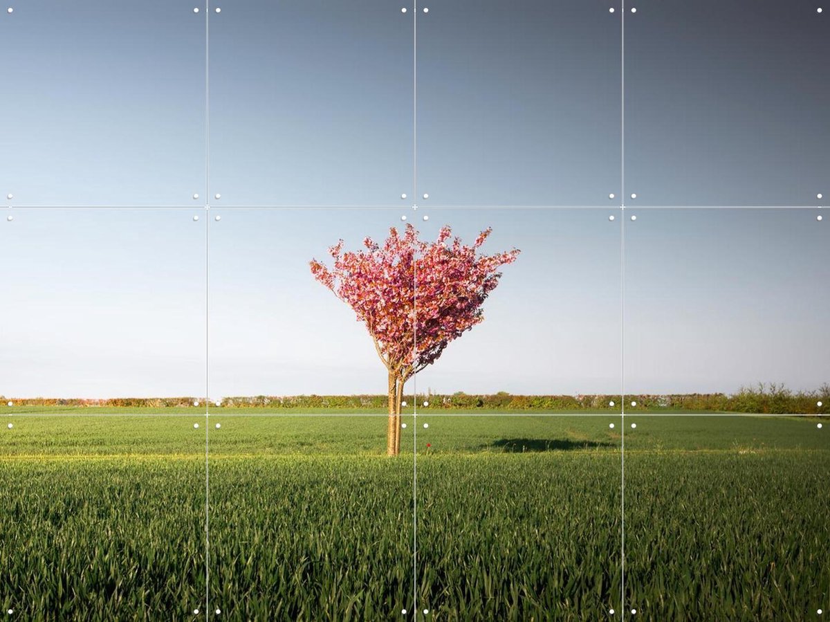 IXXI The Pink Tree, Claire Droppert - 80 x 60 cm - Gratis ophangtool - Grote wanddecoratie en posters - Fotografie, Gang, Slaapkamer, Woonkamer