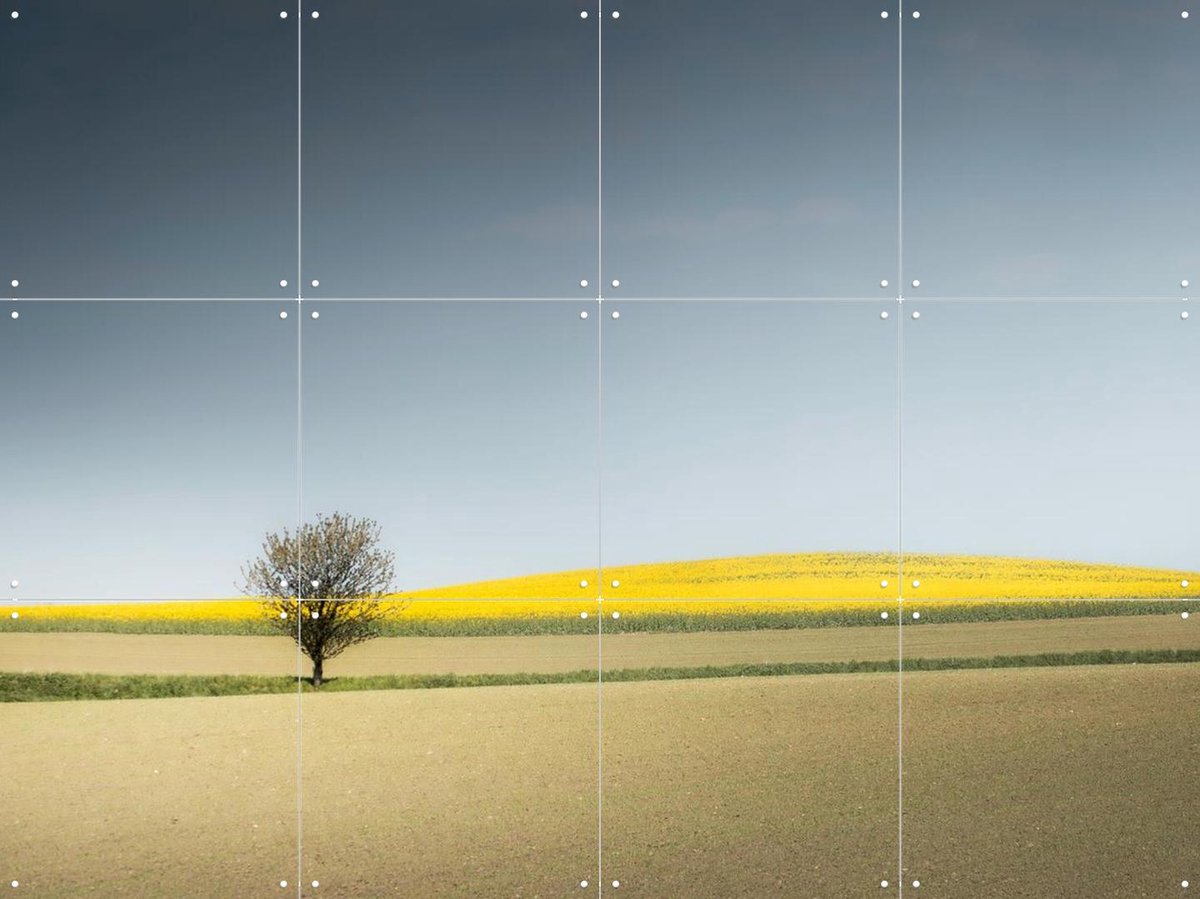 IXXI Lone Tree in Spring Light, Claire Droppert - 80 x 60 cm - Gratis ophangtool - Grote wanddecoratie en posters - Fotografie, Gang, Studeerkamer