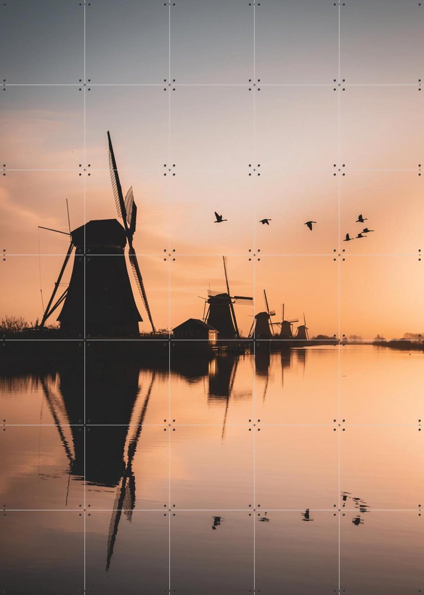 IXXI Gansen Boven Kinderdijk, Teun de Leede & Kunst in Kaart - 100 x 140 cm - Gratis ophangtool - Grote wanddecoratie en posters - Fotografie, Gang
