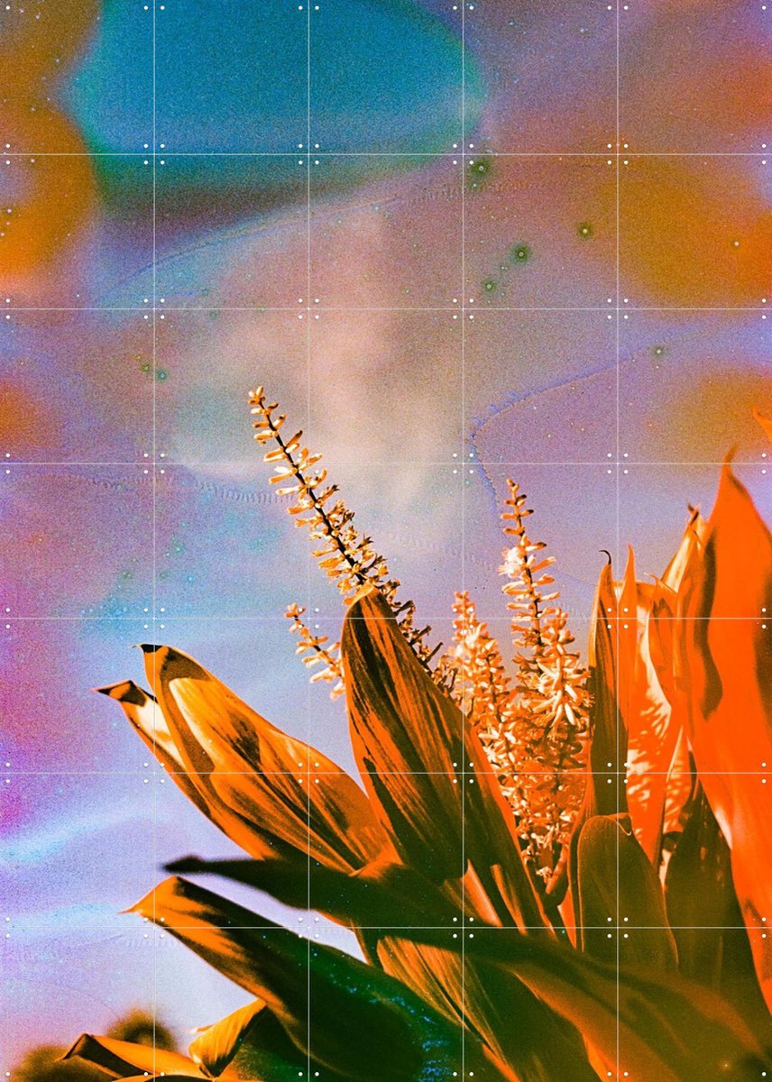 IXXI On the Bright Side, Amber Lauder - 100 x 140 cm - Gratis ophangtool - Grote wanddecoratie en posters - Kleurrijk, Gemengde Technieken, Woonkamer