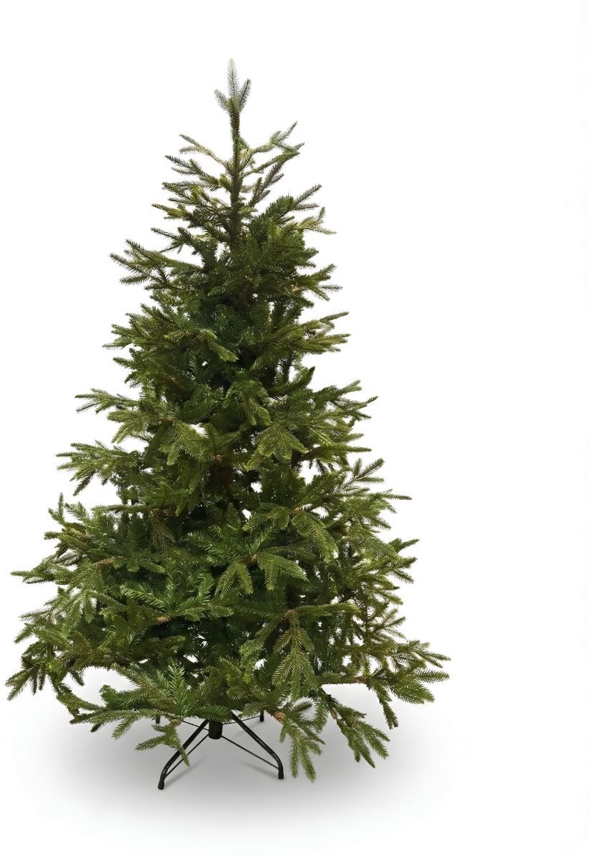Black Box Trees Frasier Kerstboom - Kerstversiering voor Binnen met Natuurlijke Uitstraling - Kunstboom Grillige Vorm zoals Boom uit het Bos - H215 x Ø145 cm - Groen