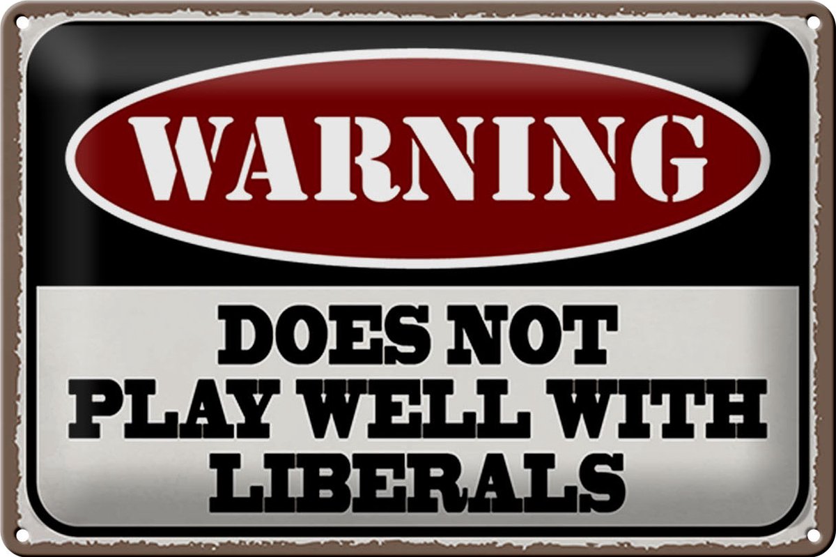 Blechschild Spruch 30x20cm Warning does not play well with